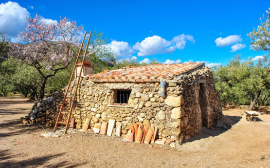 Stone shed in well-located plot (35)