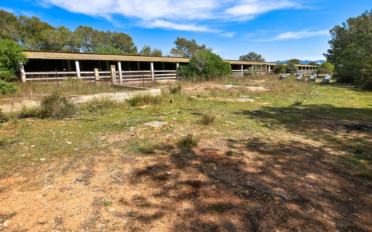 19 hectares land near Tortosa (200)