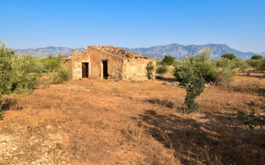 Two pieces of land in one lot (242)