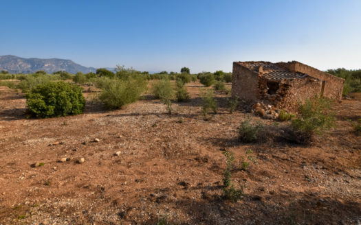 Two pieces of land in one lot (242)