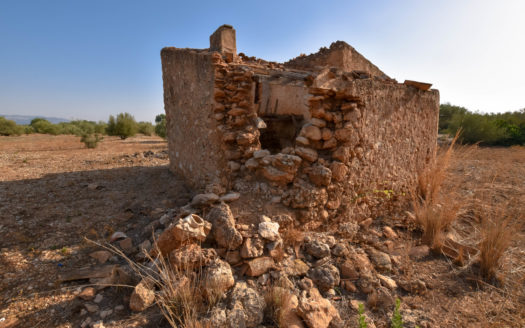 Two pieces of land in one lot (242)
