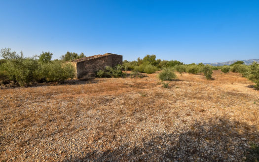 Two pieces of land in one lot (242)