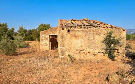 Two pieces of land in one lot (242)