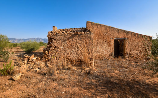 Two pieces of land in one lot (242)