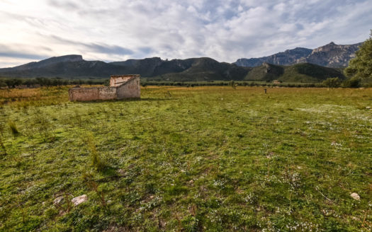 Big plot with a ruin (231)