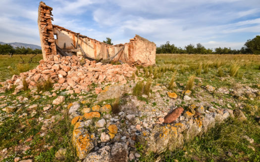 Big plot with a ruin (231)