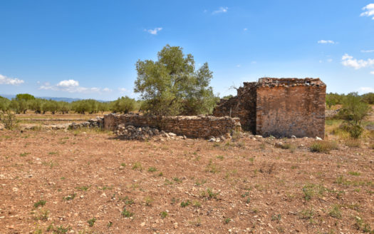 Small farmhouse with good access (256)