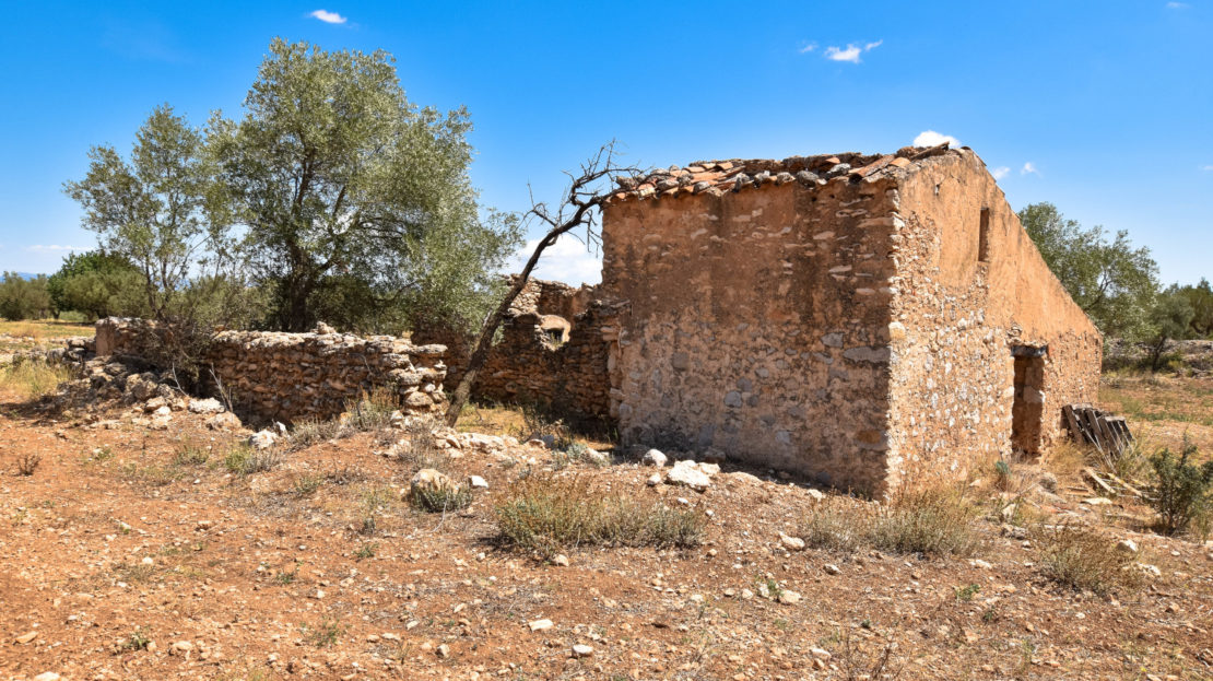 video image