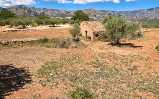 Small farmhouse with good access (256)