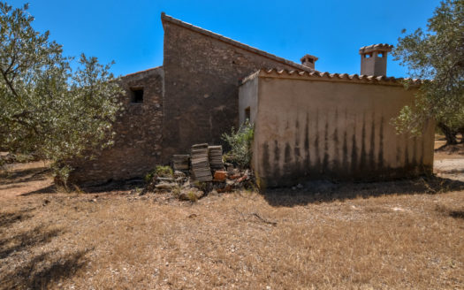Sense dubte una bona ubicació (248)
