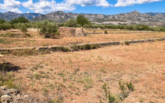 Small farmhouse with good access (256)