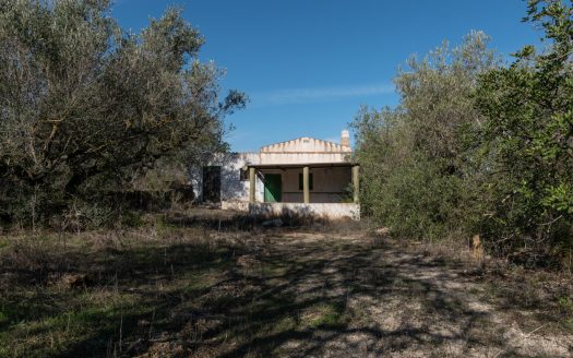 The jewel of El Perelló (452)