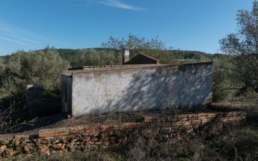The jewel of El Perelló (452)