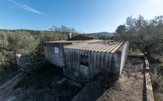 The jewel of El Perelló (452)