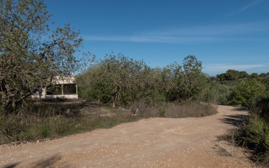 The jewel of El Perelló (452)
