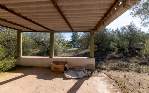 The jewel of El Perelló (452)