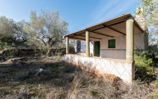 The jewel of El Perelló (452)