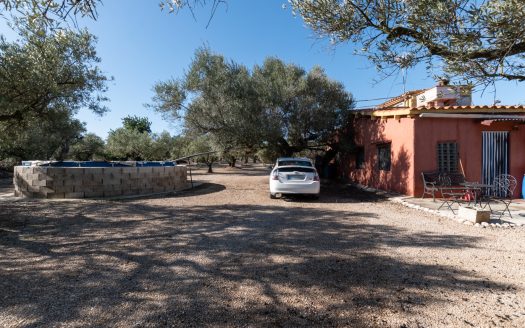 Personal freedom and privacy (449)