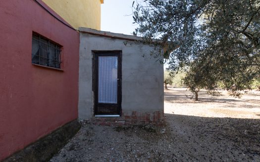 Personal freedom and privacy (449)