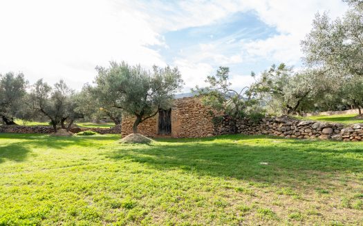 Beautiful flat piece of land (475)