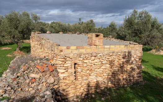 Beautiful flat piece of land (475)
