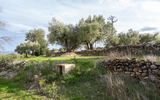 Beautiful flat piece of land (475)