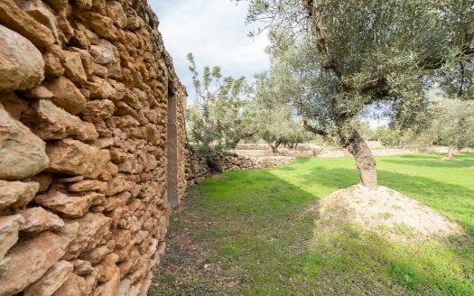 Beautiful flat piece of land (475)