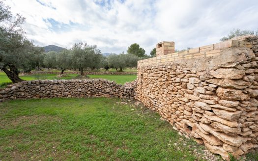 Beautiful flat piece of land (475)