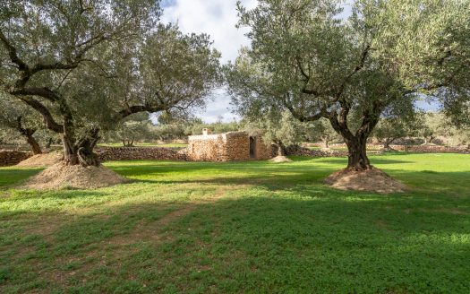 Beautiful flat piece of land (475)