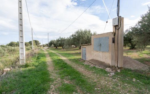 Beautiful flat piece of land (475)