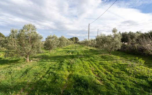 Beautiful flat piece of land (475)
