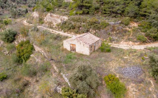 Gran finca amb aigua (488)
