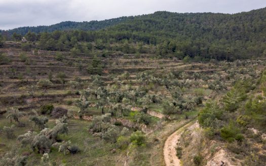Gran finca amb aigua (488)