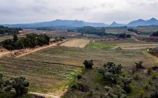Gran finca amb aigua (488)