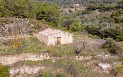 Gran finca amb aigua (488)