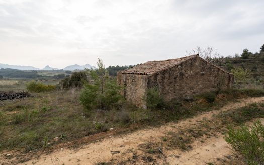 Gran finca amb aigua (488)