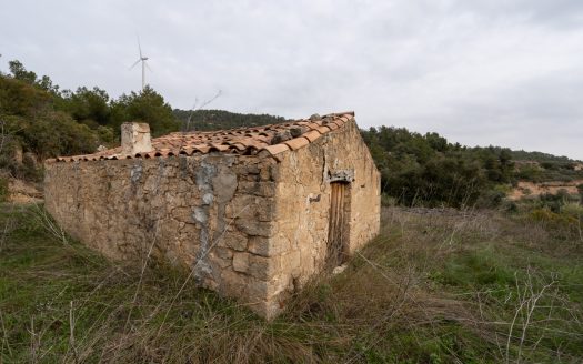 Gran finca amb aigua (488)