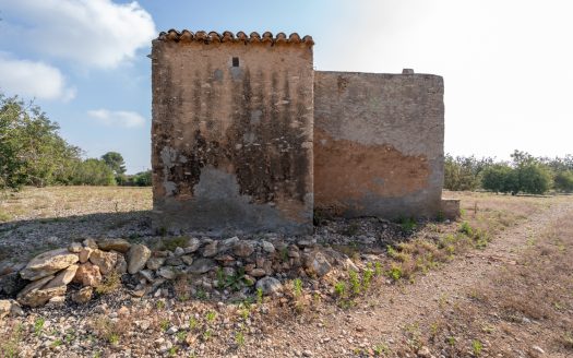 Melancholy about the past (535)