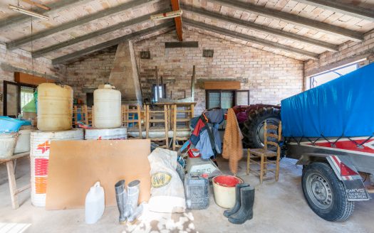 Finca amb arbres fruiters prop de Roquetes (553)
