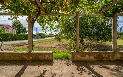 Finca amb arbres fruiters prop de Roquetes (553)