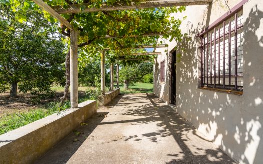 Finca amb arbres fruiters prop de Roquetes (553)