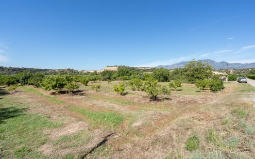 Finca amb arbres fruiters prop de Roquetes (553)