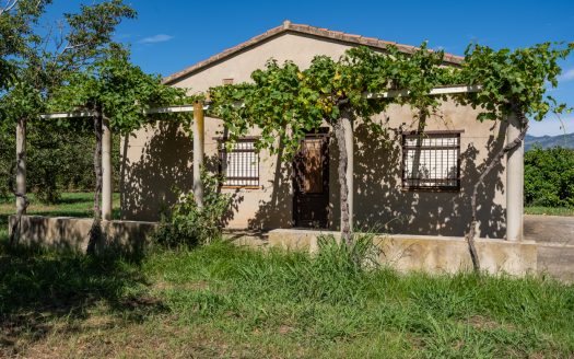 Finca amb arbres fruiters prop de Roquetes (553)