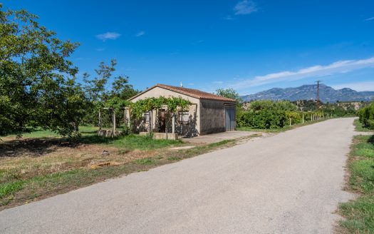 Finca amb arbres fruiters prop de Roquetes (553)