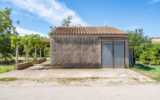 Finca amb arbres fruiters prop de Roquetes (553)