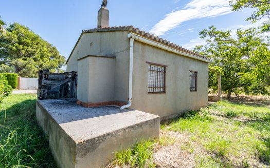 Finca amb arbres fruiters prop de Roquetes (553)