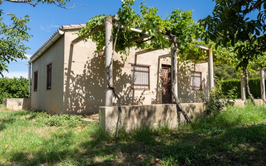 Finca amb arbres fruiters prop de Roquetes (553)
