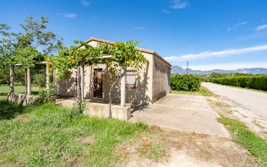 Finca amb arbres fruiters prop de Roquetes (553)