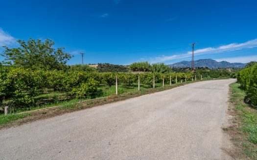 Finca amb arbres fruiters prop de Roquetes (553)