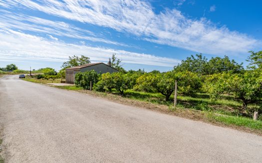 Finca amb arbres fruiters prop de Roquetes (553)